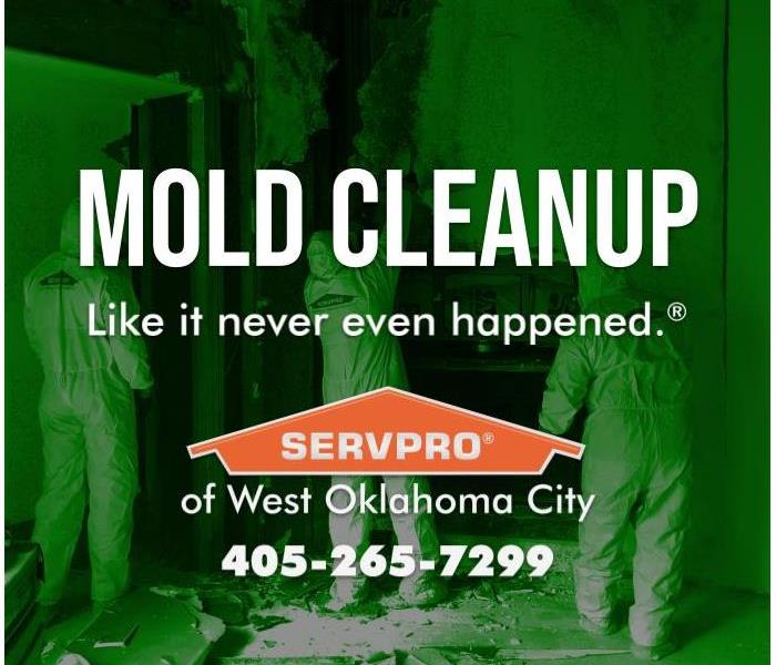 Mold Damage? Call SERVPRO of West Oklahoma City
